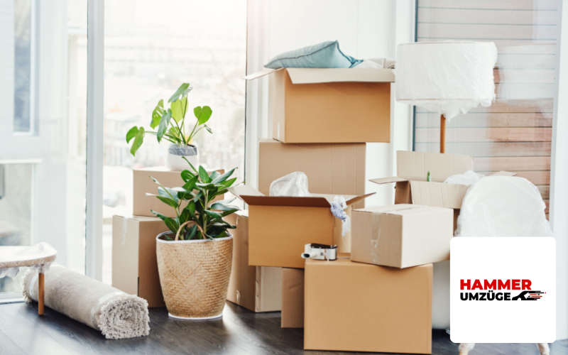 Kundenreferenz: Umzüge Hammer, Screenshot, Umzugsmaterial und Umzugskartons